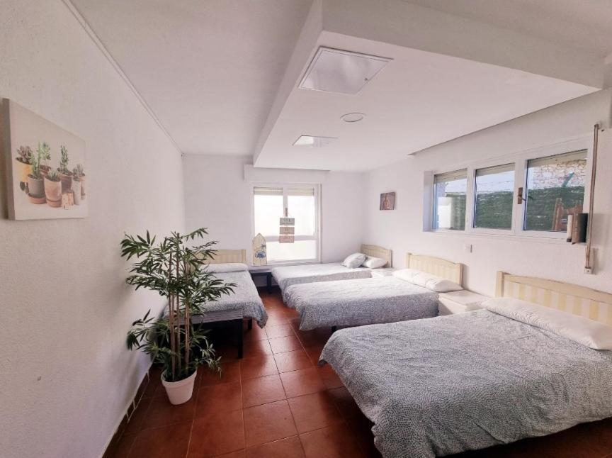 Llanes Surfcamp & Hostel Bagian luar foto